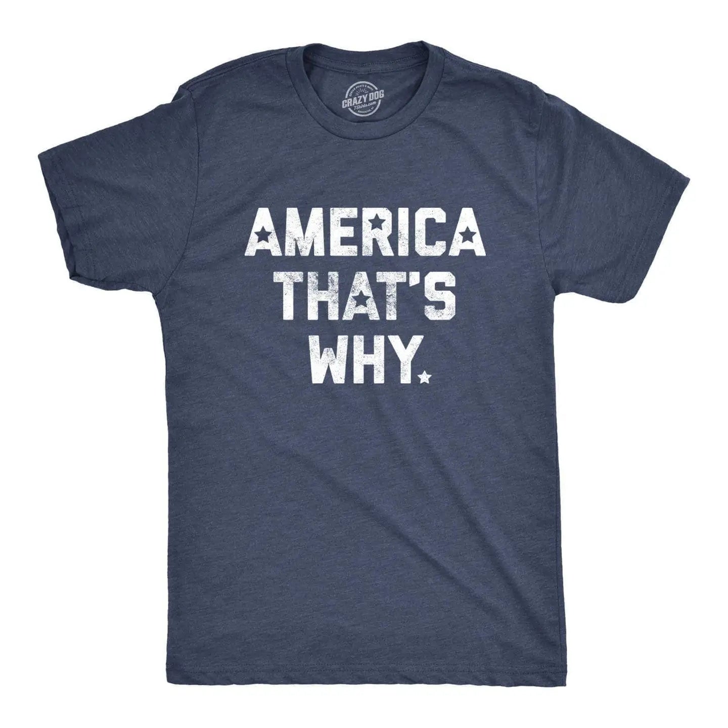 America That's Why Graphic Tee